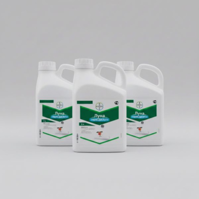 Луна Транквилити, КС 5 л