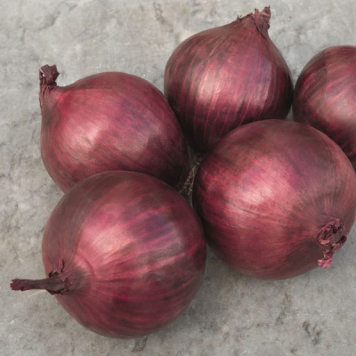 РЕД БУЛЛ F1 лук Бейо