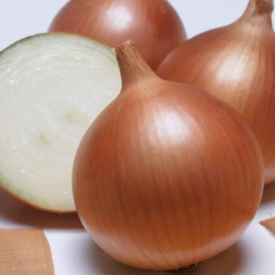 БЕНЕФИТ F1 лук Энза Заден