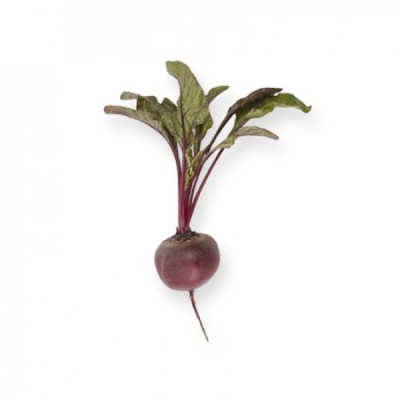 ЛАРКА F1 свекла Райк Цваан, кал.2, 75-3, 0, 1 тыс.шт