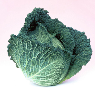 ОВАСА F1 капуста савойская Бейо