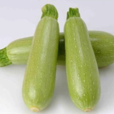 СУХА F1 кабачок Саката