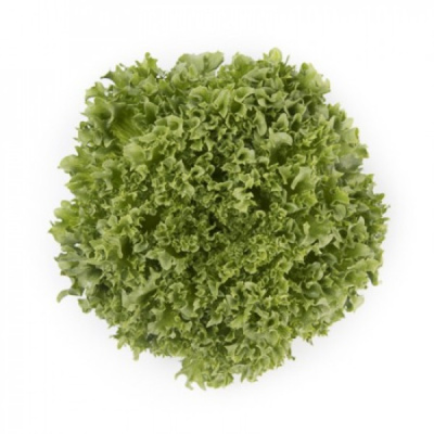 ЛАЛИК F1 салат айсберг Райк Цваан, 1 тыс.драже