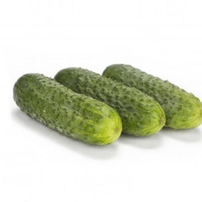БЕРЛИОЗ F1 огурец Райк Цваан, PR, 1000 шт