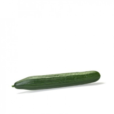 ДЕМАРРАЖ F1 огурец Райк Цваан