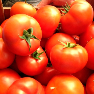 БОСТИНА F1 томат Сингента