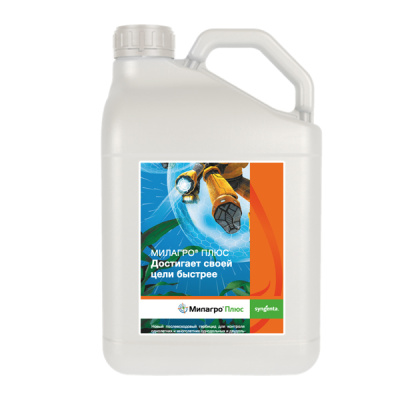 Милагро Плюс, МД