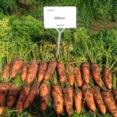 АБАКО F1 морковь Семинис, фр. 2.0, мм, 1 млн шт.