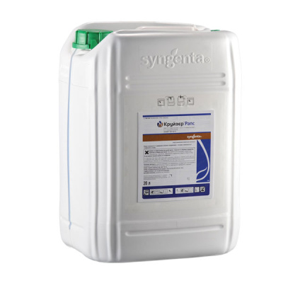 Круйзер Рапс, КС