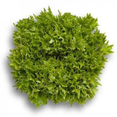 ЭКСАЙТ F1 салат Райк Цваан, 5 тыс.драже