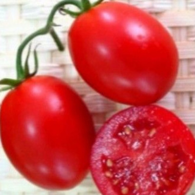 ОДИЛЬ F1 томат Семинис, 1000 шт