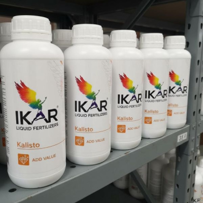 Икар Калисто, 1 л