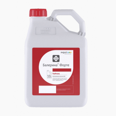 Балерина Форте, СЭ 10 л