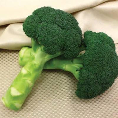 ГРИН МЕЙДЖИК F1 брокколи Саката