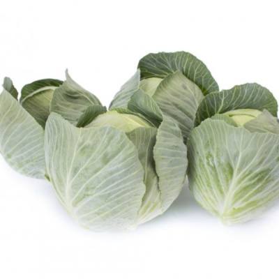 ФЛЕКСИМА F1 капуста белокочанная Райк Цваан, GD, 1000 шт