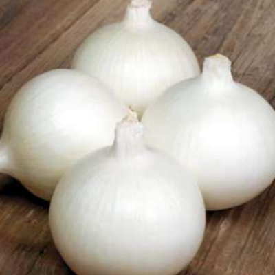 БЕЛЛО БЛАНКО F1 лук Саката