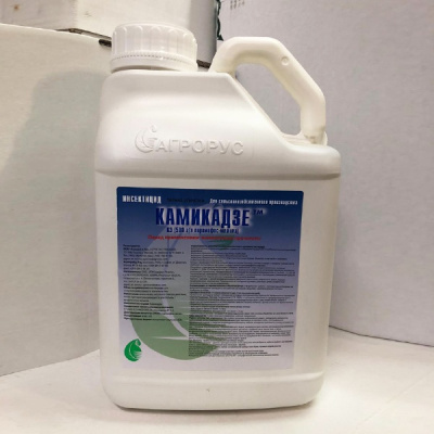 Камикадзе, КЭ