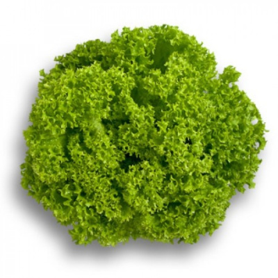 ЛОЗАНО F1 салат Райк Цваан, 5 тыс.драже