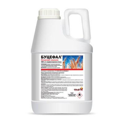 Буцефал, КЭ