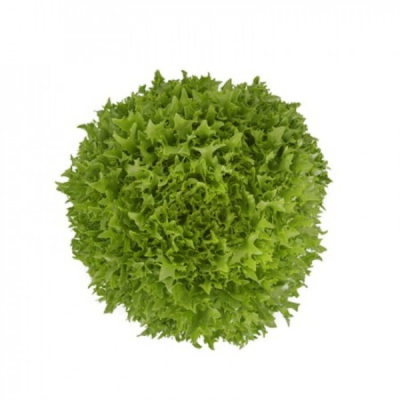 ЭКСТЕМП F1 салат Райк Цваан, 5 тыс.драже