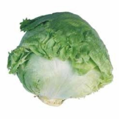 АВИРАМ F1 салат айсберг Хазера (20 000 др)