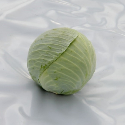 ЭЛАСТОР F1 капуста белокочанная Сингента