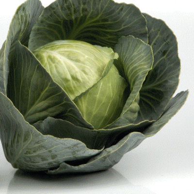 СВ 3404 ЖЛ F1 капуста белокочанная Семинис