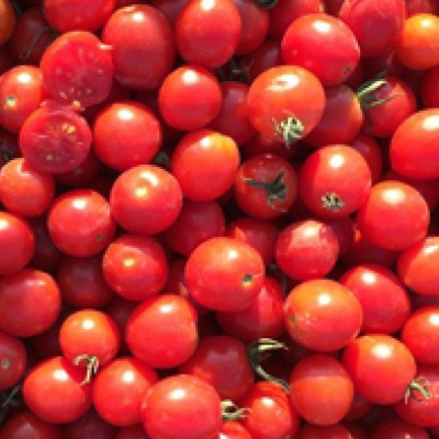 ТО 1435 F1 томат Семинис