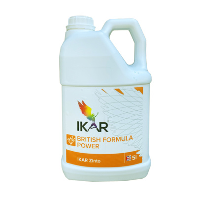 Икар Зинто, 5 л