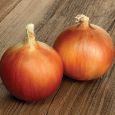 СПЕНИШ МЕДАЛЬОН F1 лук Саката