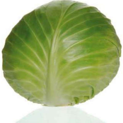 МОНРО F1 капуста белокочанная Саката