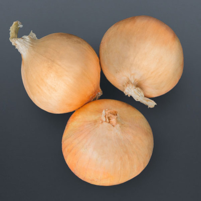 МАКАЛУ F1 лук Бейо