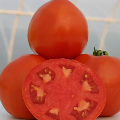 ЛАМАНТИН F1 томат Нюнемс