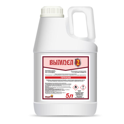 Вымпел 2, КЭ