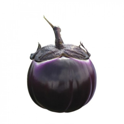 САБЕЛЛЕ F1 баклажан Райк Цваан, PR, 1000 шт