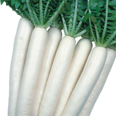 МАЙНОВАЗ САММЕР КРОС F1 дайкон Энза Заден