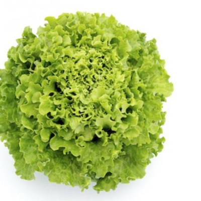 МАРАДОН F1 салат Вильморин (25 000 др.)