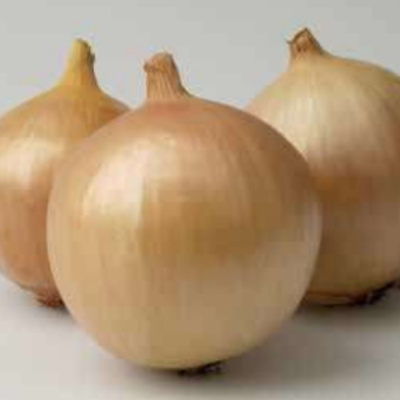 ФРАНЦИСКО F1 лук репчатый Хазера