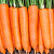 ЭЛЕГАНС F1 морковь Нюнемс фр.2.2-2.4 мм (100 000 шт)