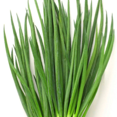 ЭНЕРДЖИ F1 лук на зелень Гриномика (500 г)