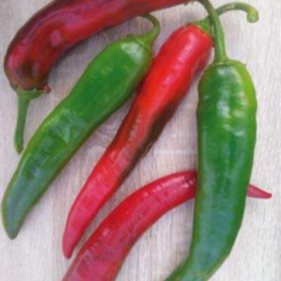 БЛЕЙД F1 перец Саката