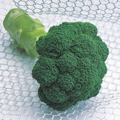 КВИНТА F1 брокколи Энза Заден