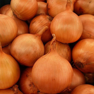 ИРОКО F1 лук Энза Заден