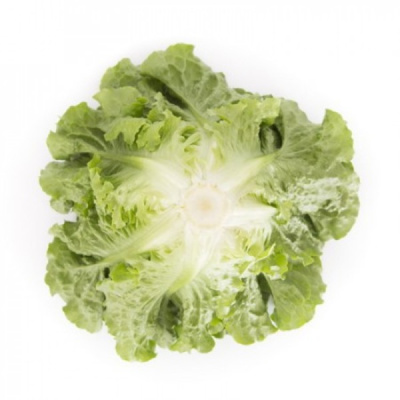 КОНВЕРШ F1 салат Райк Цваан, 5 тыс.драже