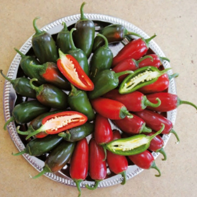 СОНОРА F1 перец Саката