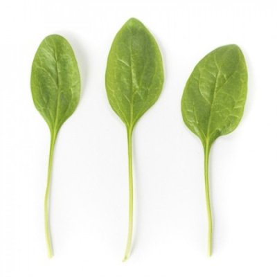 МЕРКАТ F1 шпинат Райк Цваан, PR, 1 млн.шт