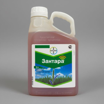 Зантара, КЭ 5 л