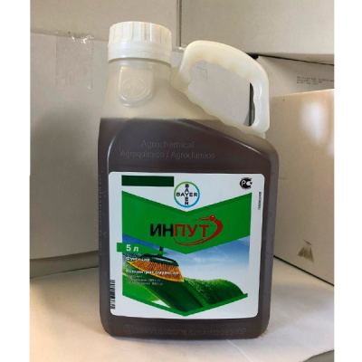 Инпут, КЭ 5 л