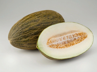 ХАБАЛОН F1 дыня Энза Заден