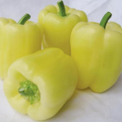 МАДОННА F1 перец Вильморин